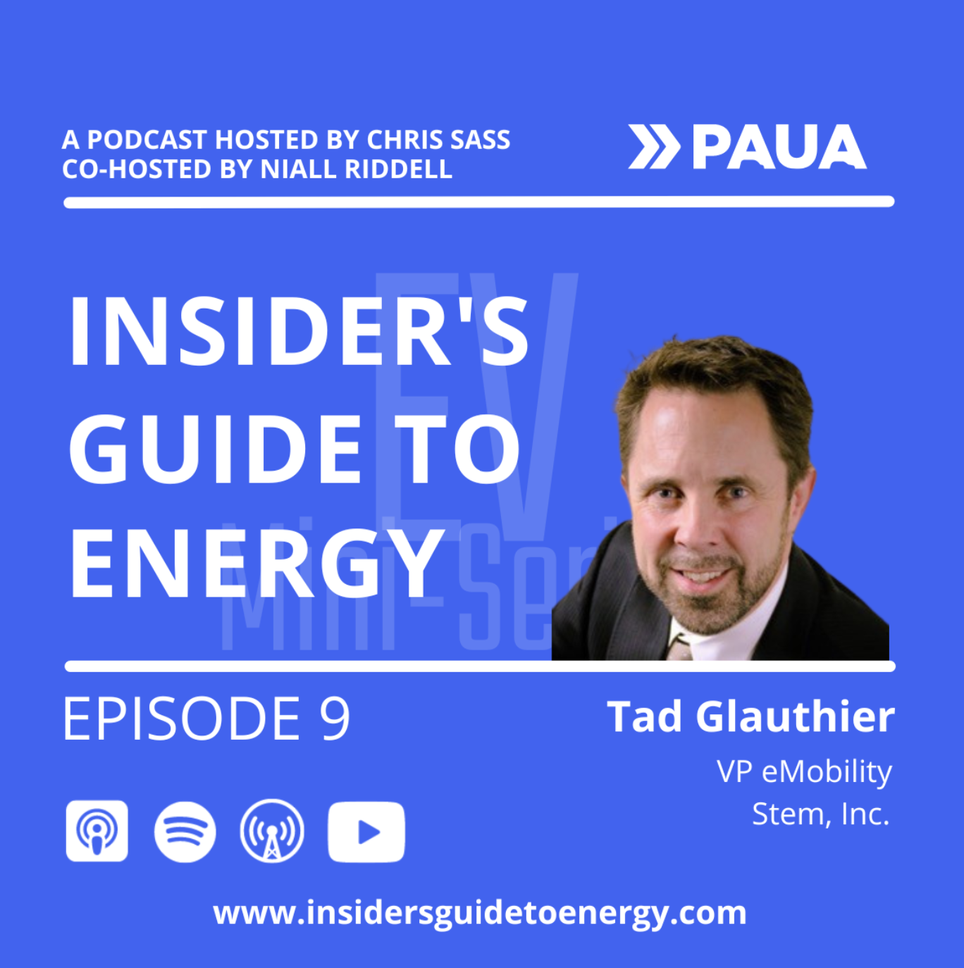 Chris Sass and Niall Riddell from Paua, talk to Tad Glauthier, VP eMobility at Stem Inc. about How is AI innovating adoption of EVs at scale
